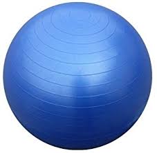  Physical Exercise Ball